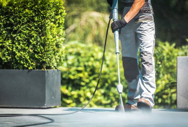 Best Fence Cleaning  in Bellport, NY